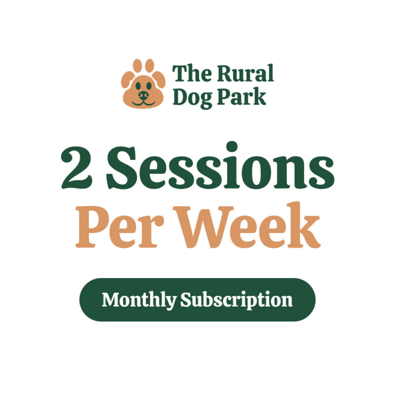 Membership: 2 Sessions Weekly
